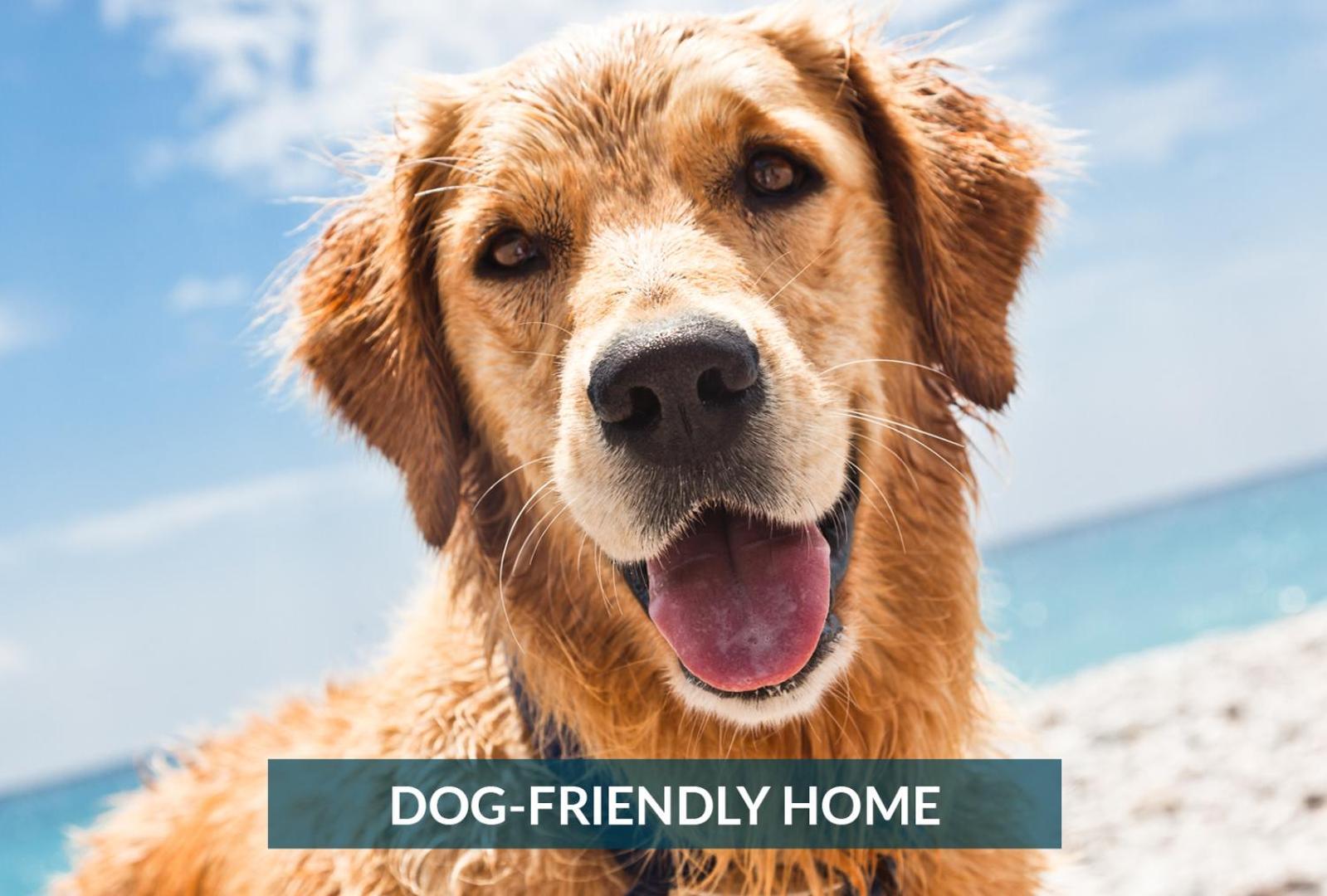5508 Southern Comfort Dog Friendly Shared Pool Kill Devil Hills Bagian luar foto